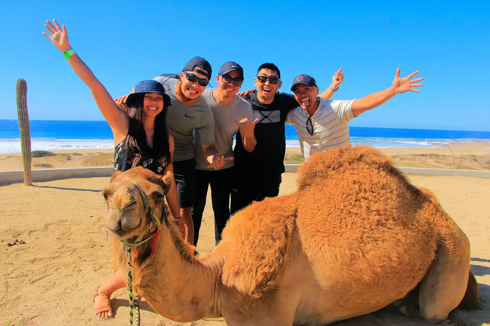 Camel Ride on the Beach
