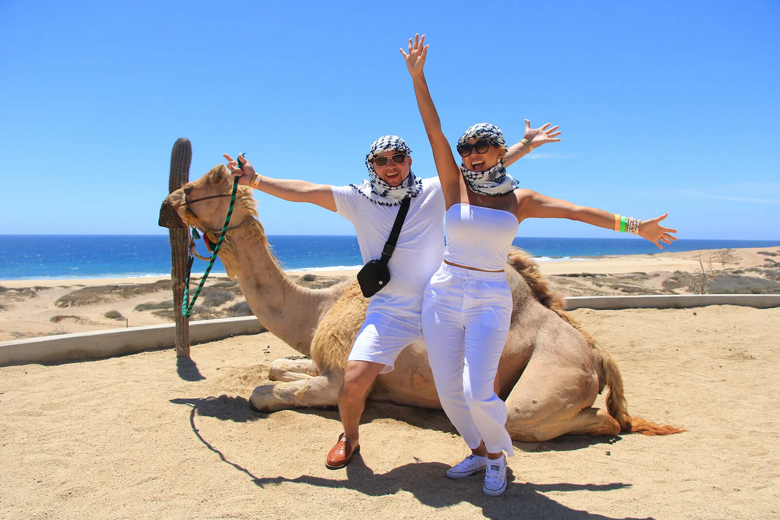 Camel Ride on the Beach