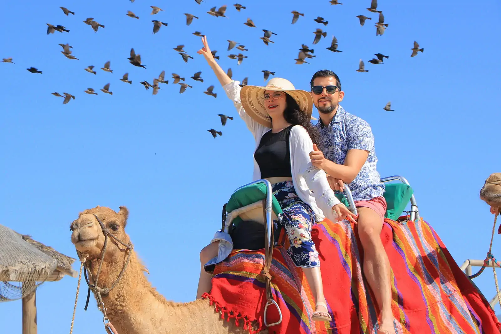 Camel Ride on the Beach