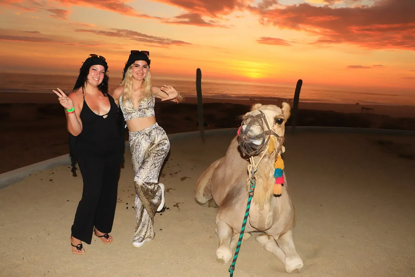 Camel Ride on the Beach