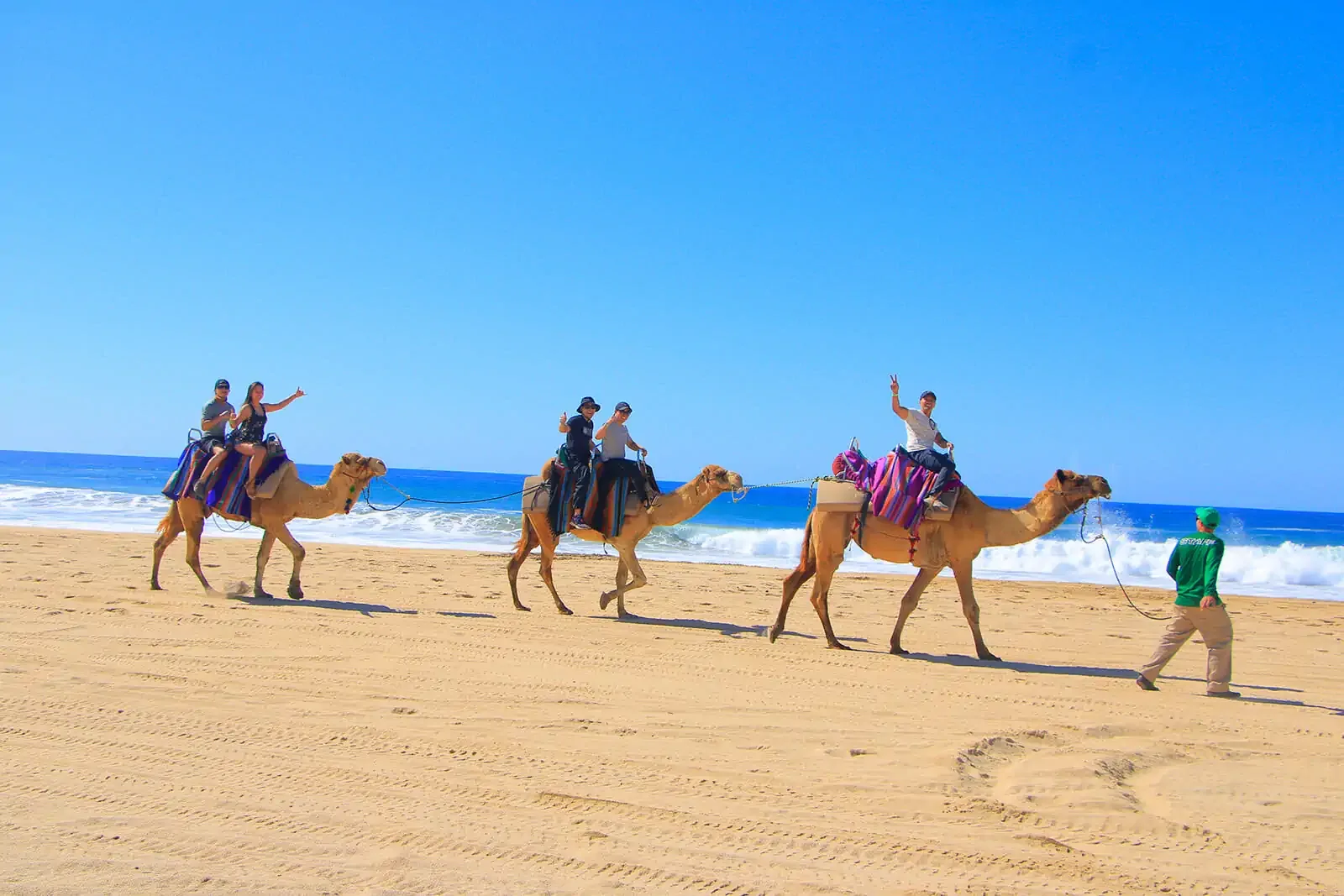 Camel Ride on the Beach