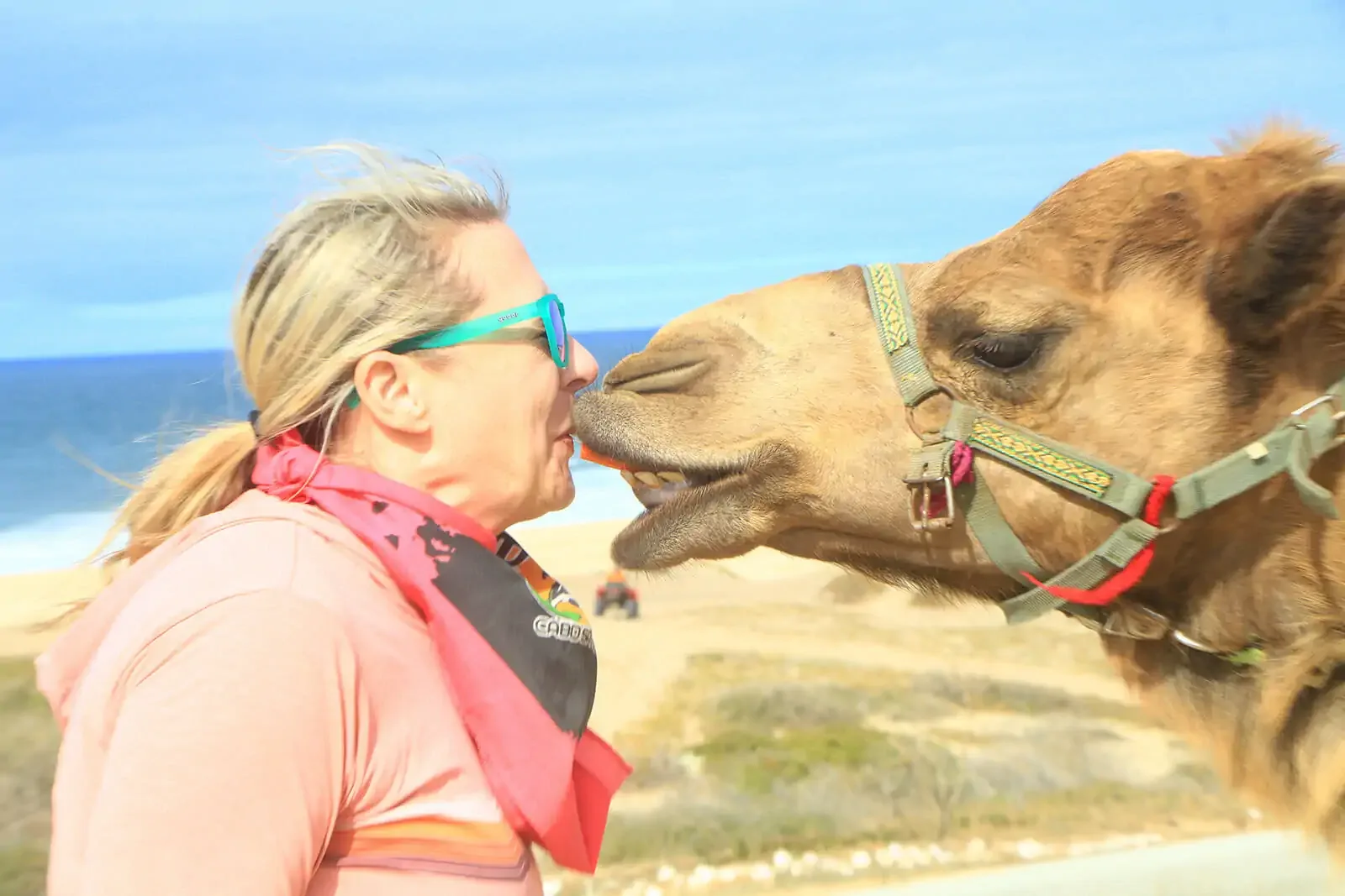 Camel Ride on the Beach