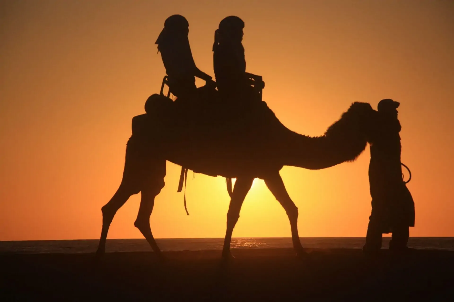 Camel Ride on the Beach