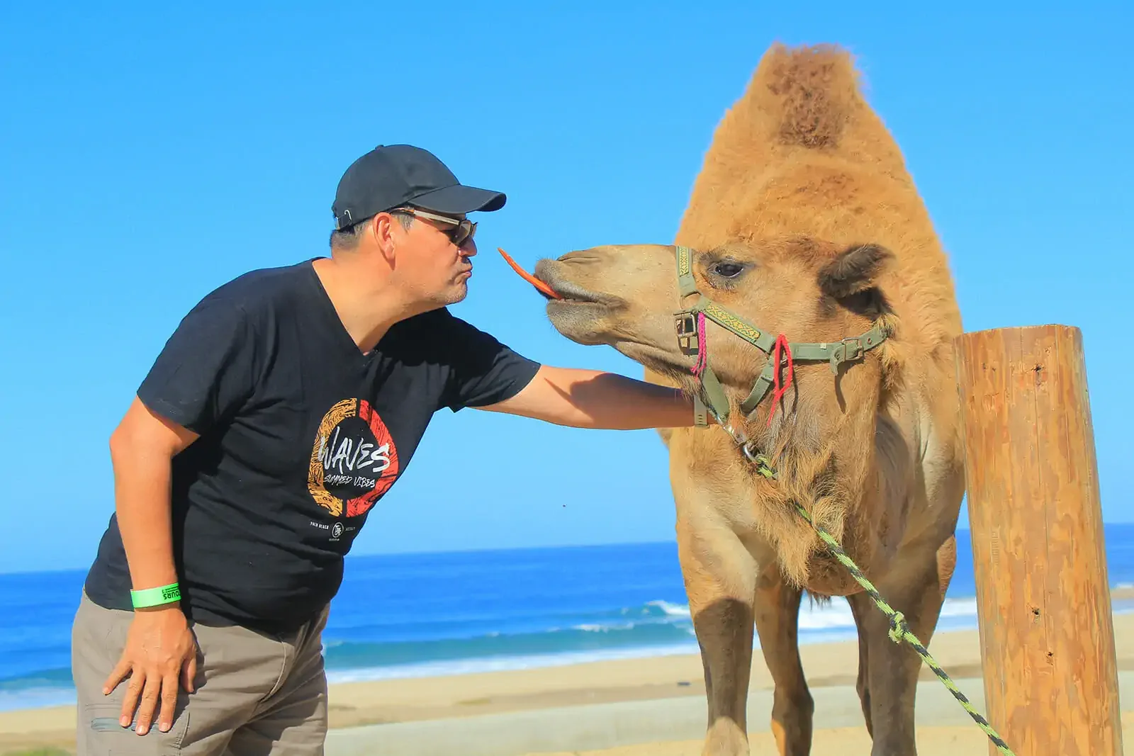 Camel Ride on the Beach