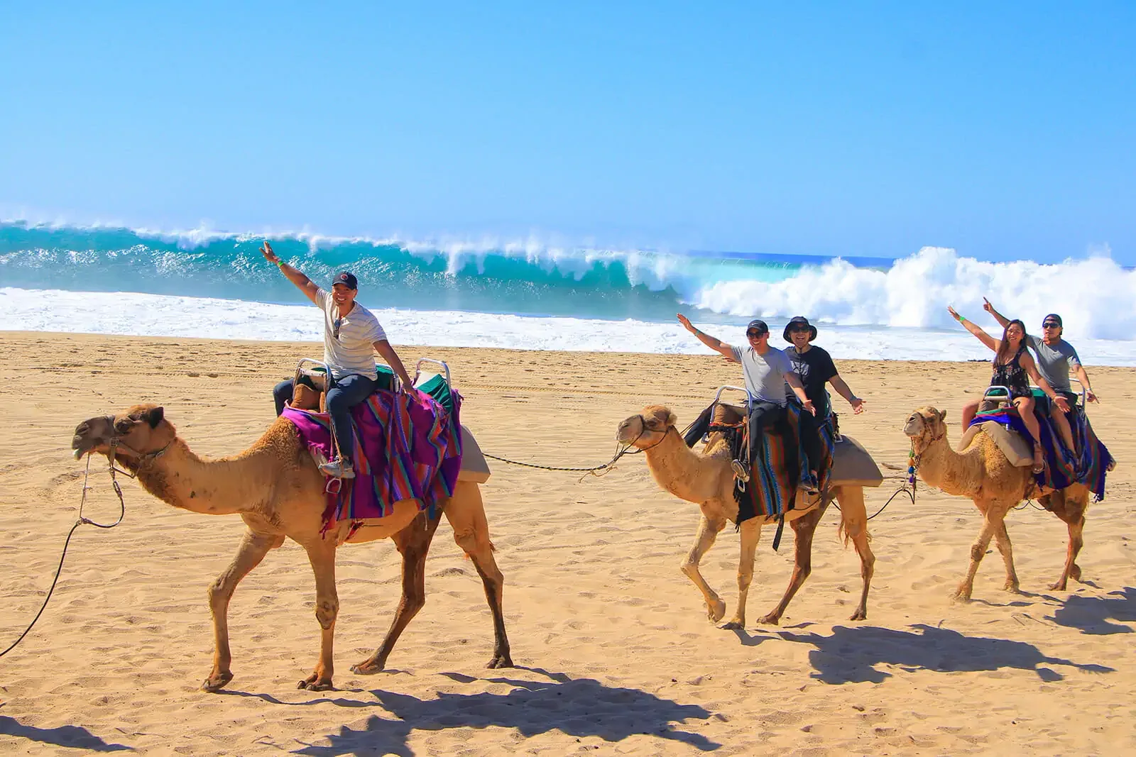 Camel Ride on the Beach