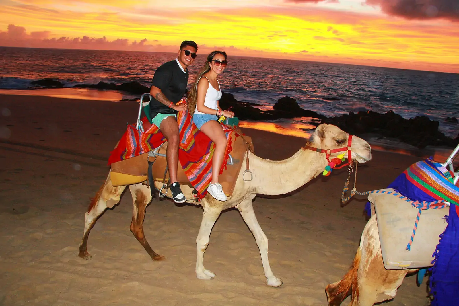 Camel Ride on the Beach