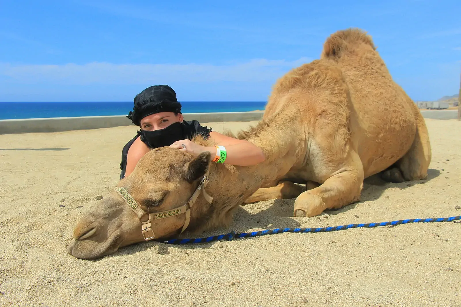 Camel Ride on the Beach