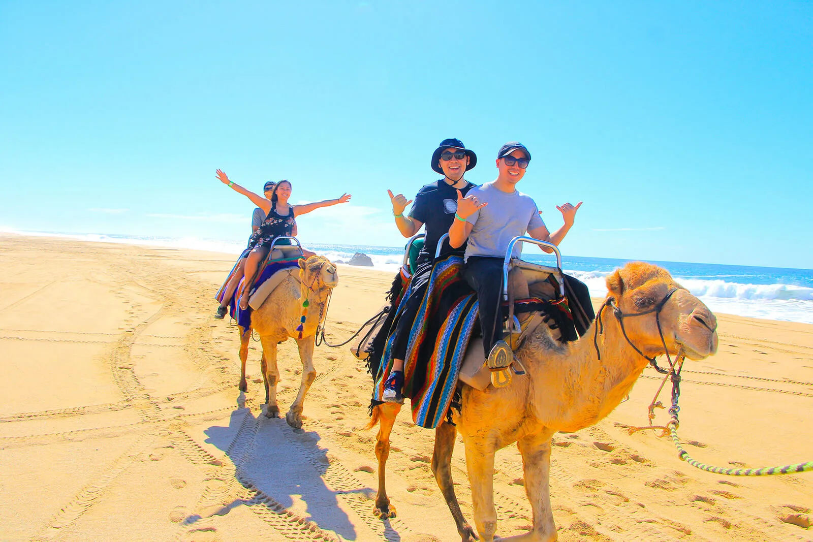Combo Tour - Camels/Horses/ATVs