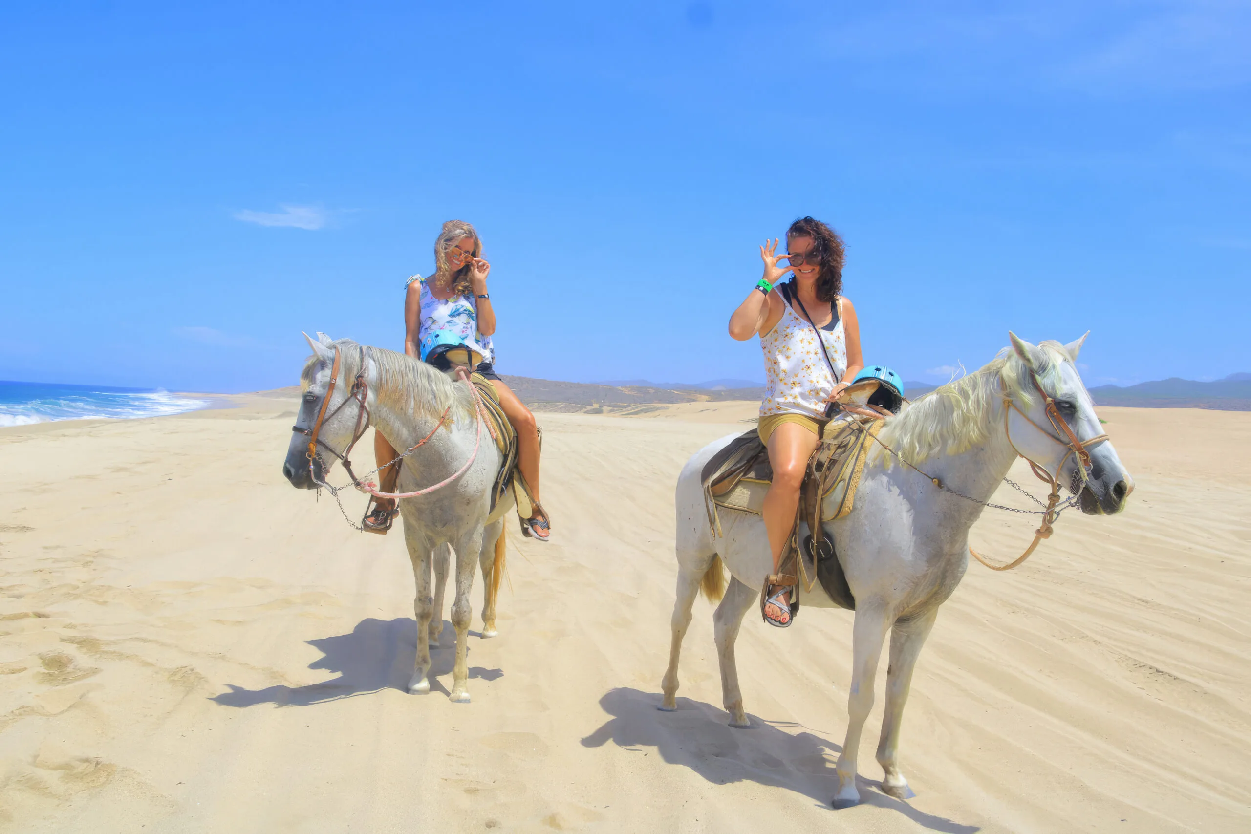 Combo Tour - Camels/Horses/ATVs