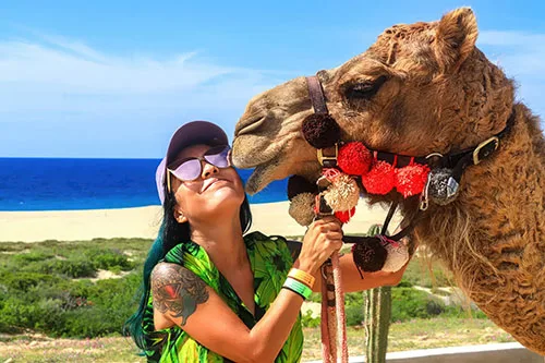 Combo Tour - Camels/Horses/ATVs