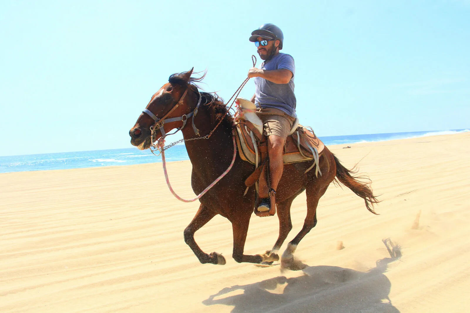 Combo 3x1 - Camel/Horse/ATV