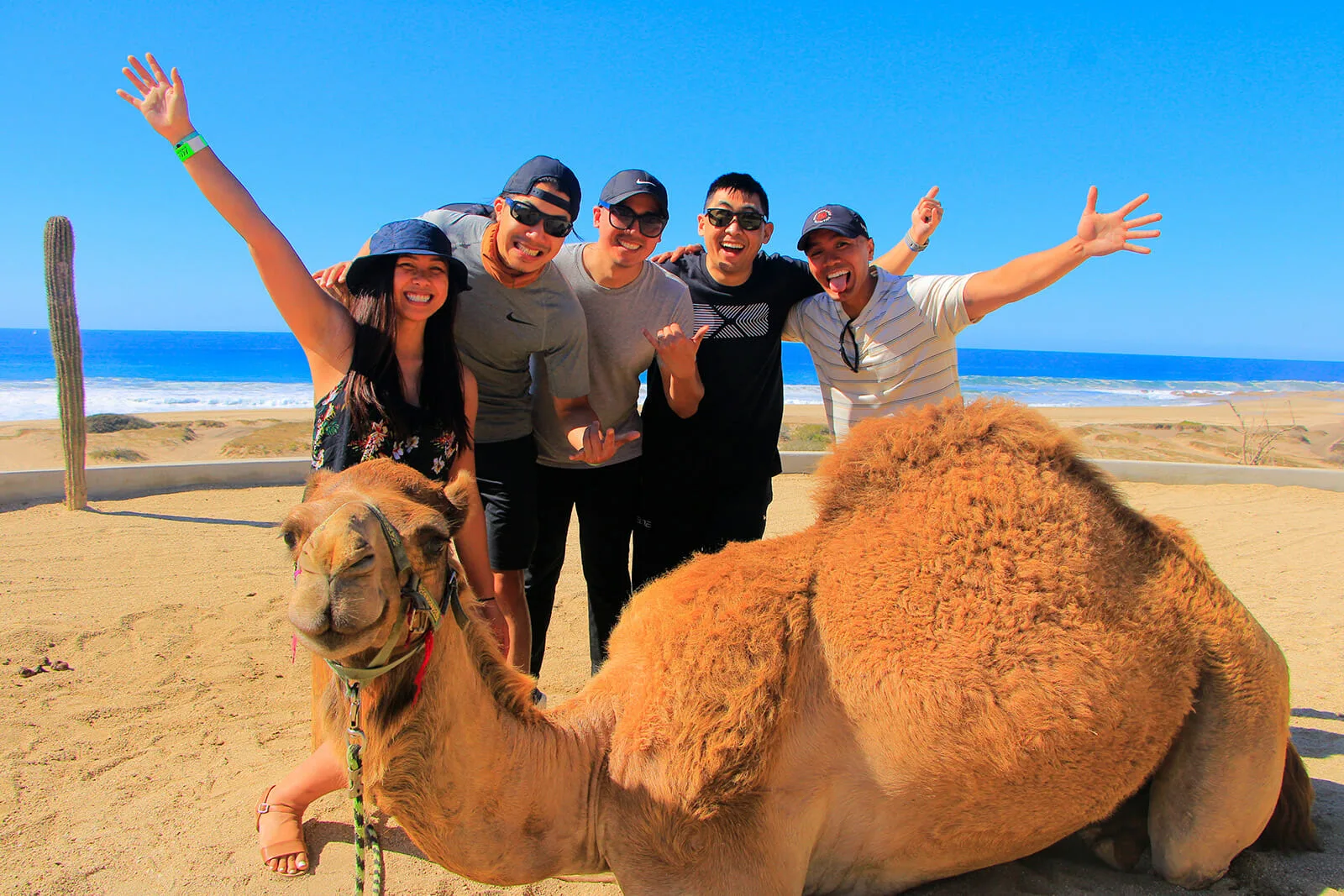 Combo Tour - Camels/Horses/Premium ATVs/Can-Am X3