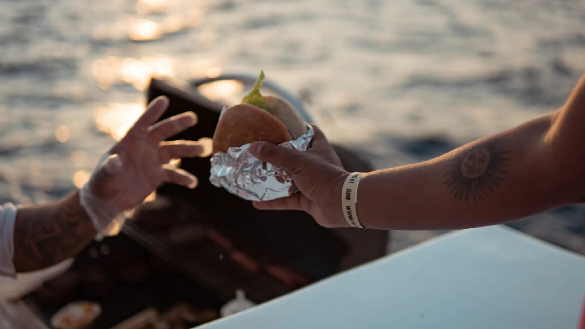 Eco Cat - Day Tour