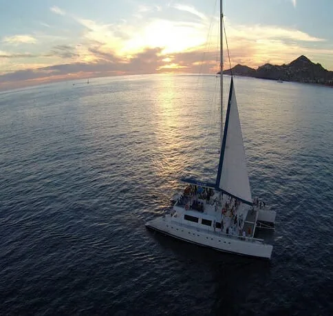 Eco Cat - Sunset Tour