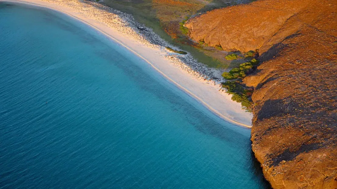 Espiritu Santo Island "The Aquarium of the World" - All Inclusive