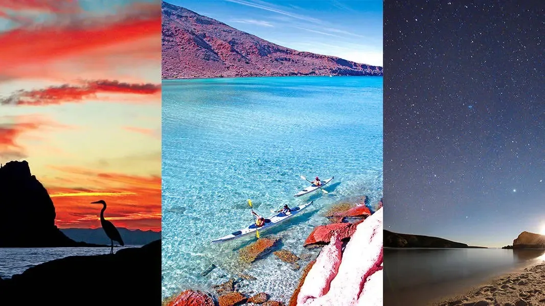Espiritu Santo Island "The Aquarium of the World" - All Inclusive