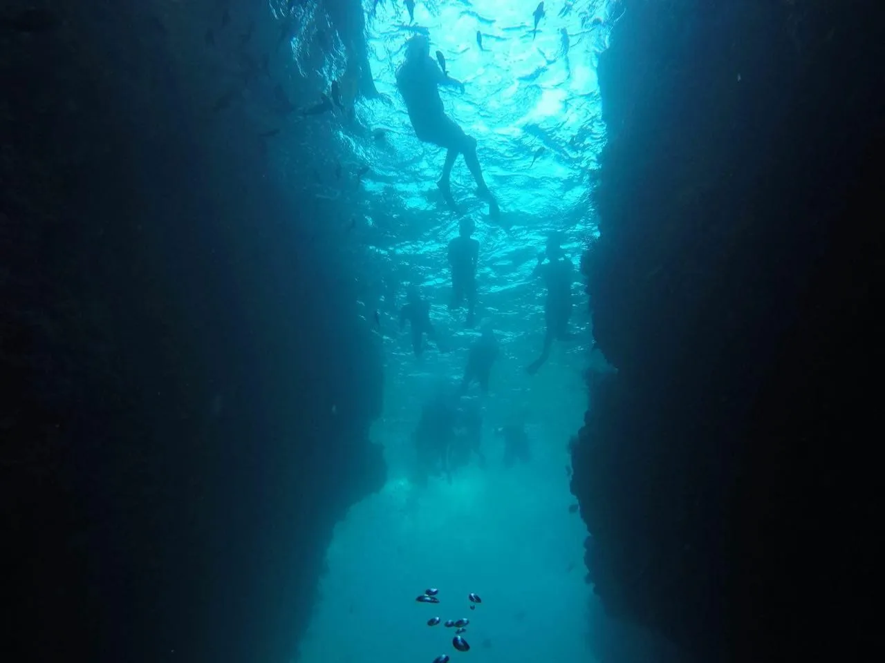 Espiritu Santo/Sea Lion Snorkeling