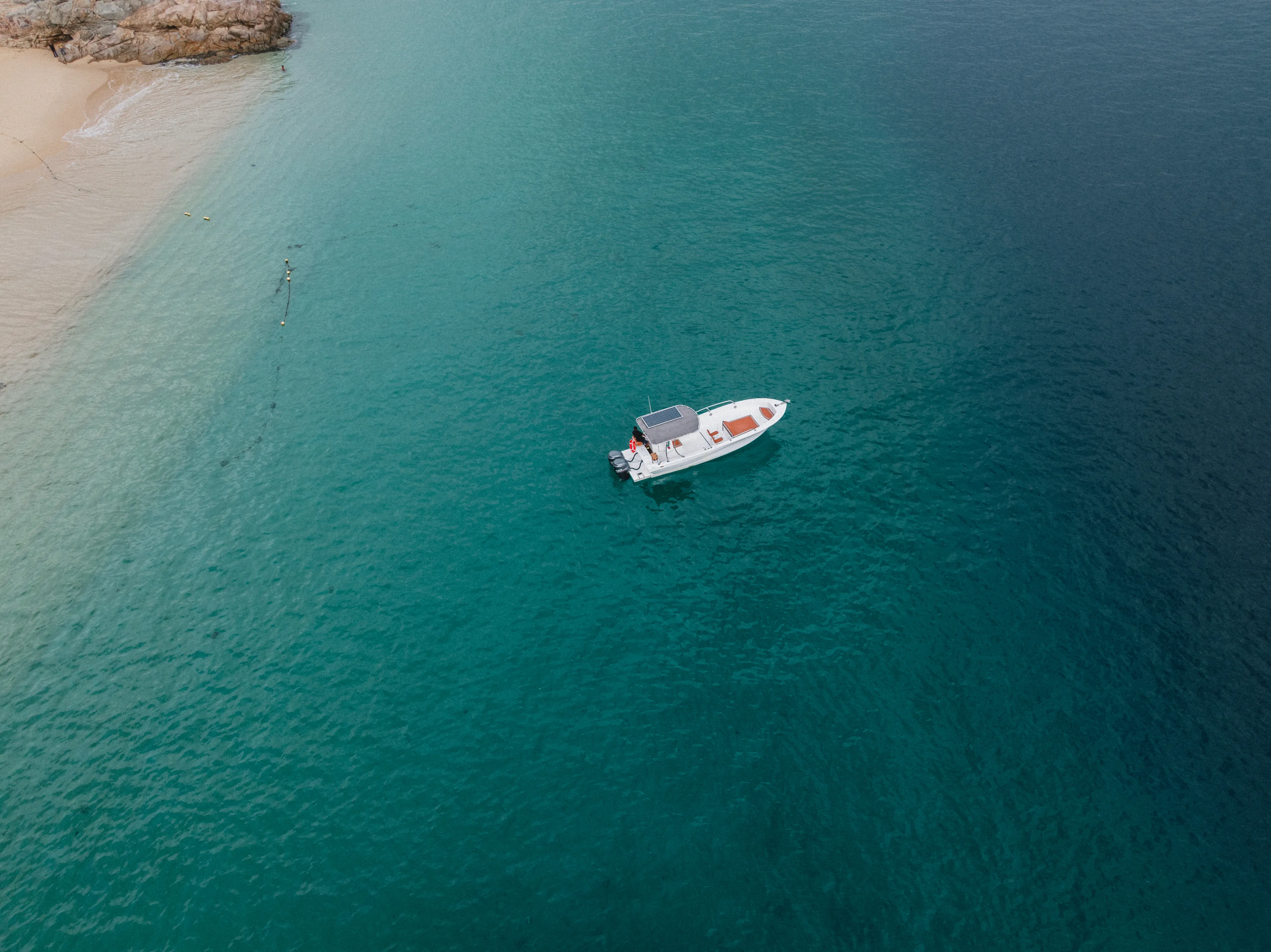 EXPEDITION BOAT - SNORKEL / SUNSET / WHALE WATCHING IN CABO SAN LUCAS