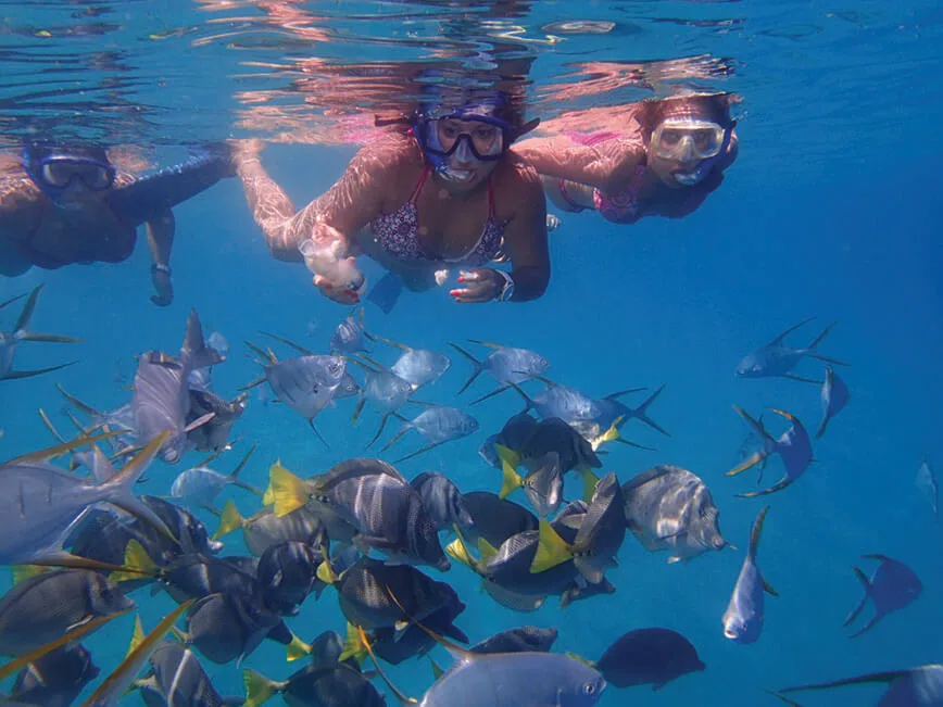 Guided Snorkel - Private Tour