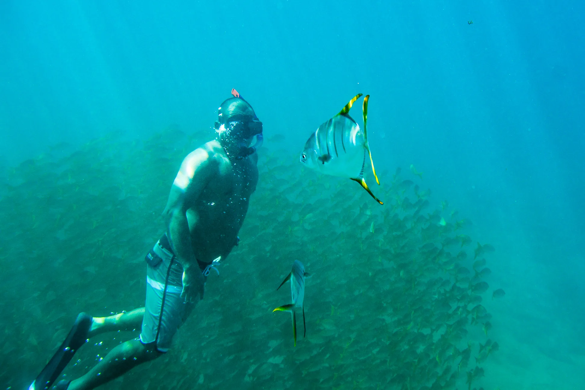 Guided Snorkel - Private Tour