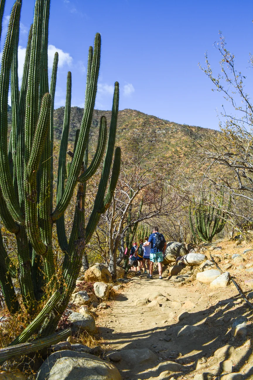 Hiking at Fox Canyon