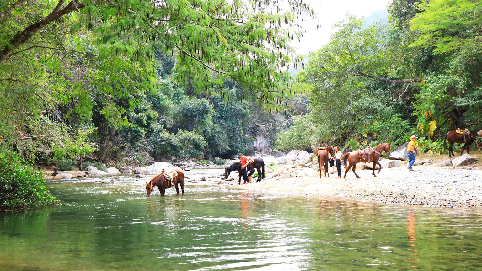 Horseback Riding