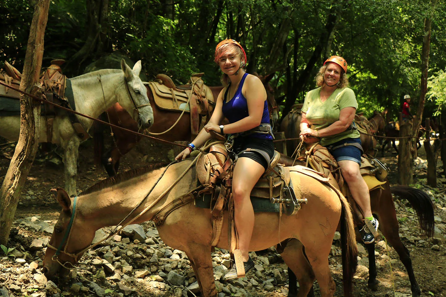 Horseback Riding