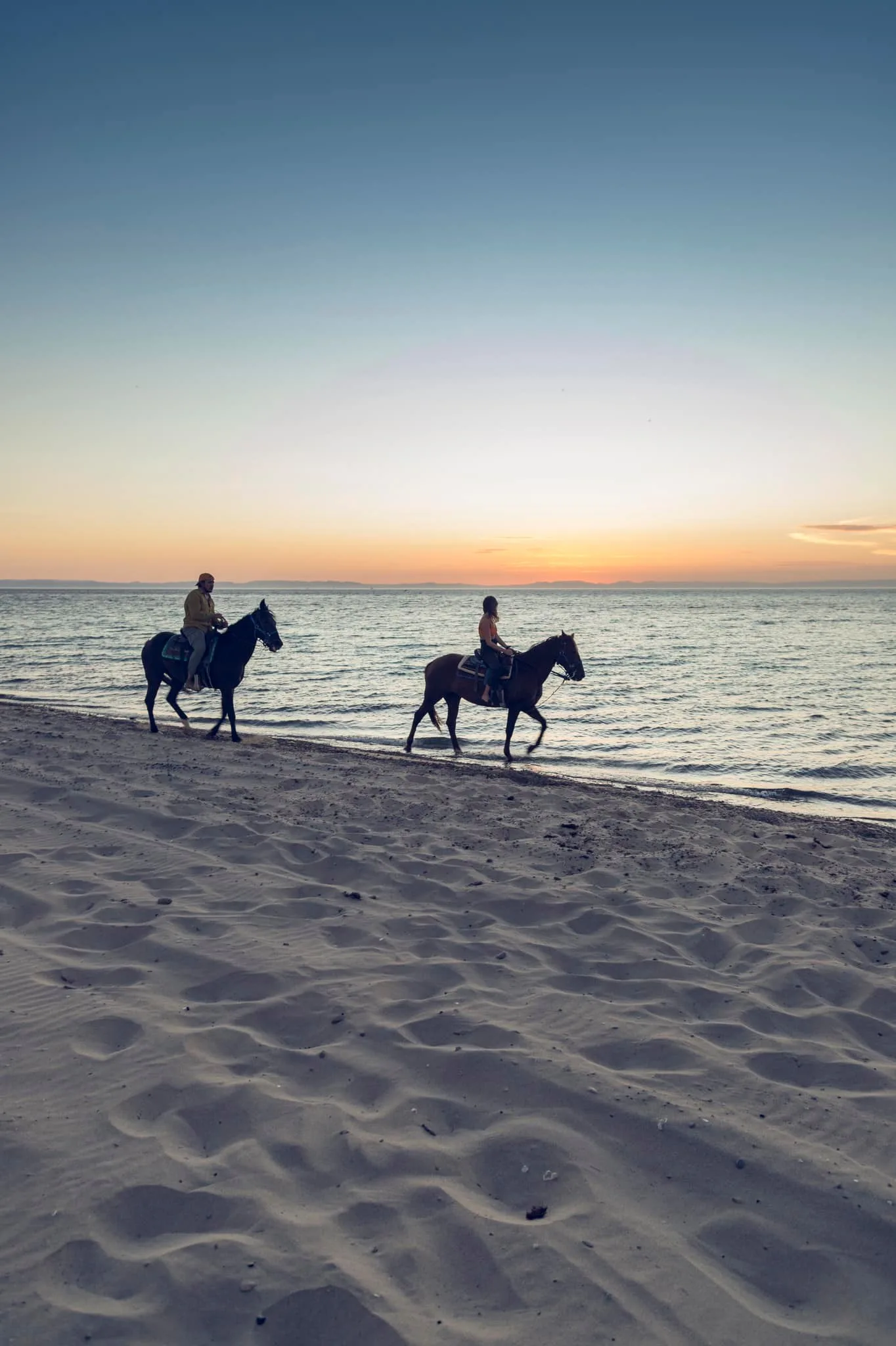 Horseback Riding - Morning Tour