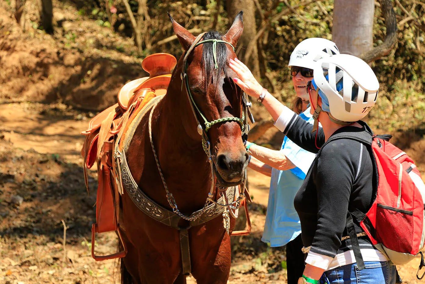Horseback Riding