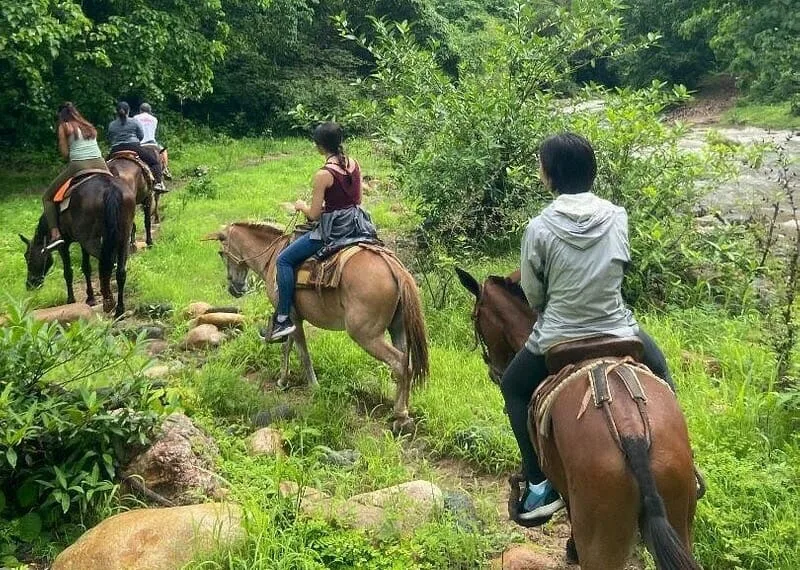 Horseback Riding