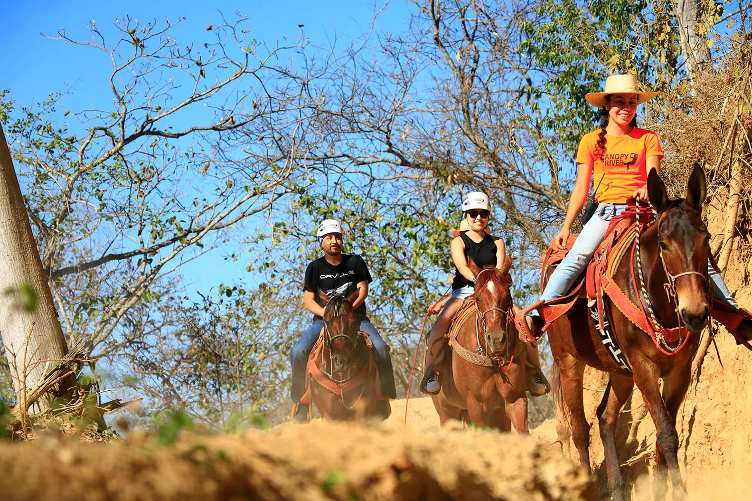 Horseback Riding