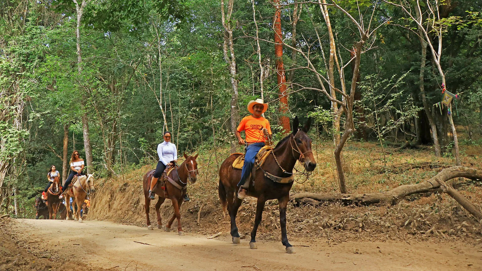 Horseback Riding