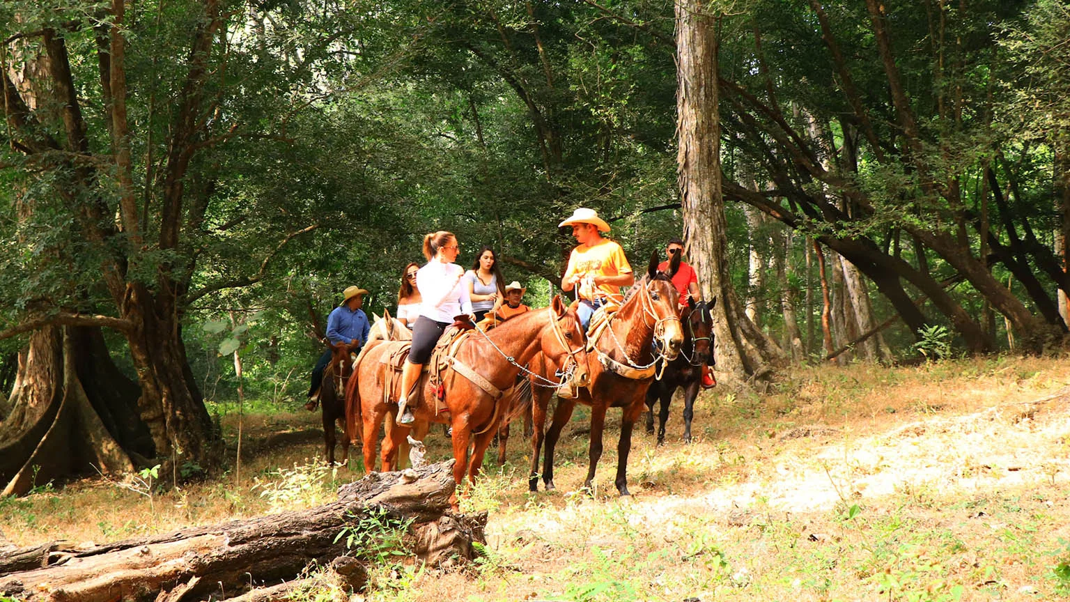 Horseback Riding
