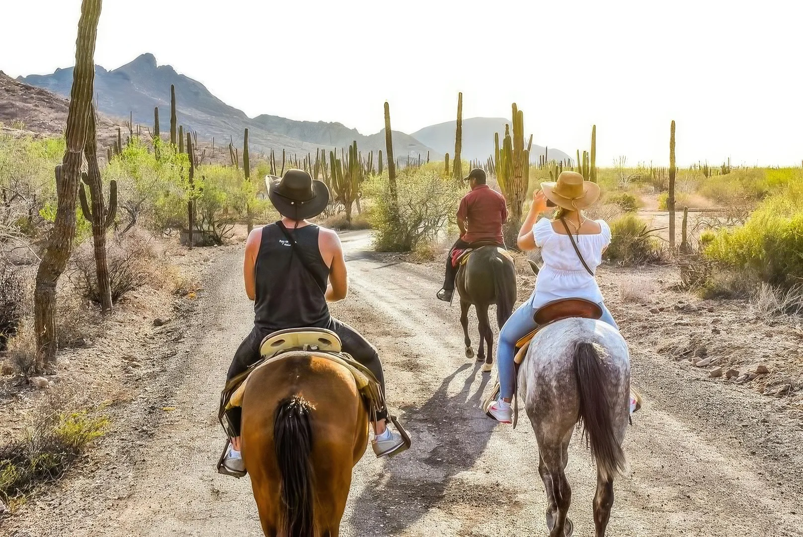 Horseback Riding - Morning Tour