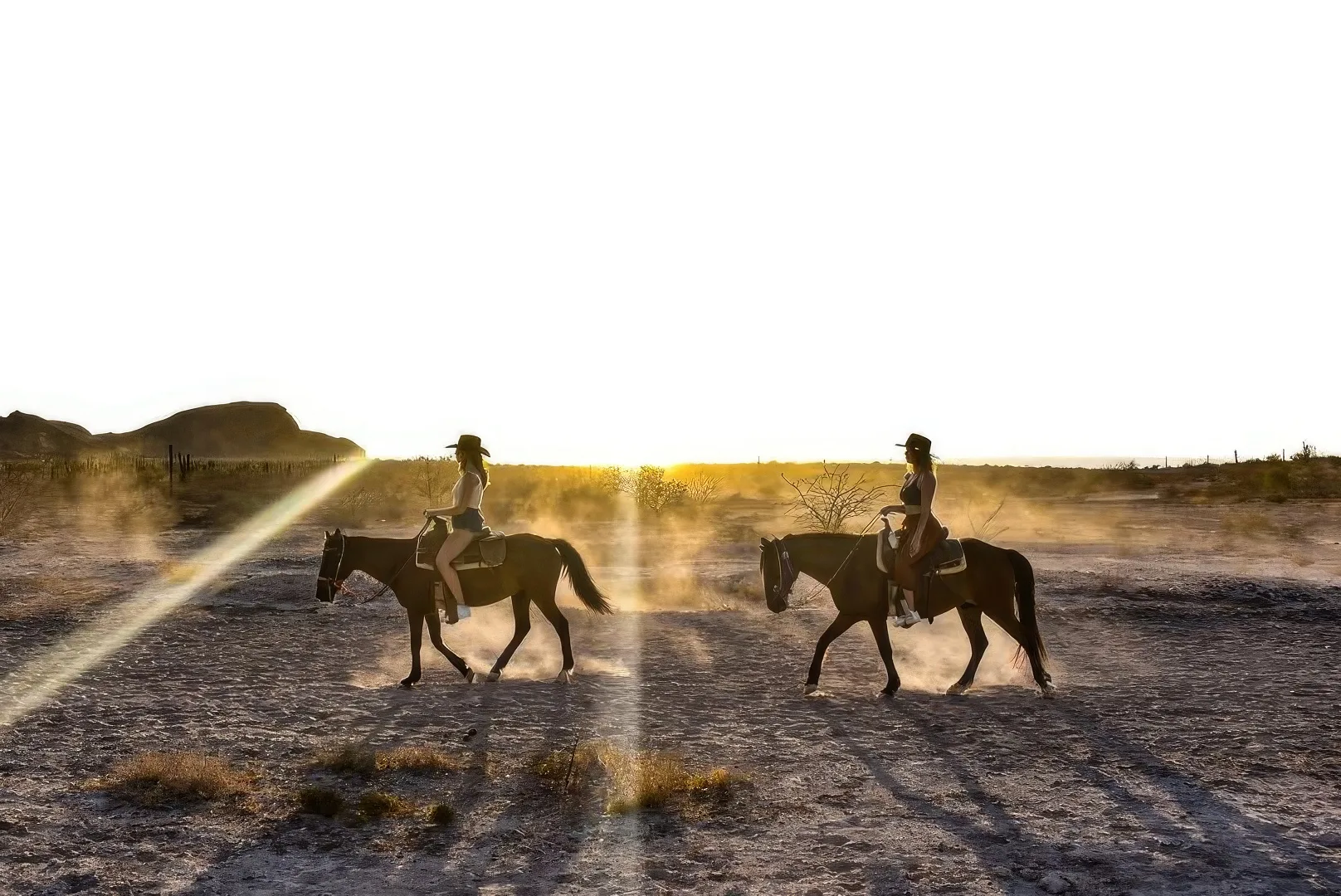 Horseback Riding - Morning Tour