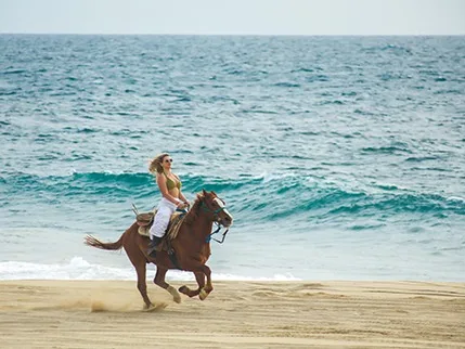 Horseback Riding On The Beach
