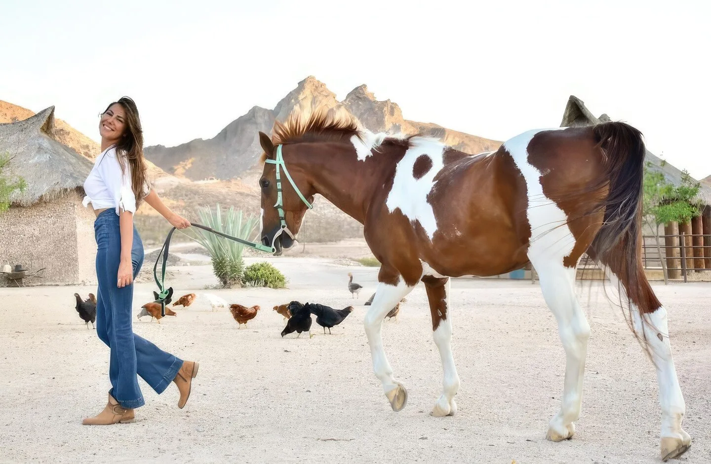 Horseback Riding On The Beach