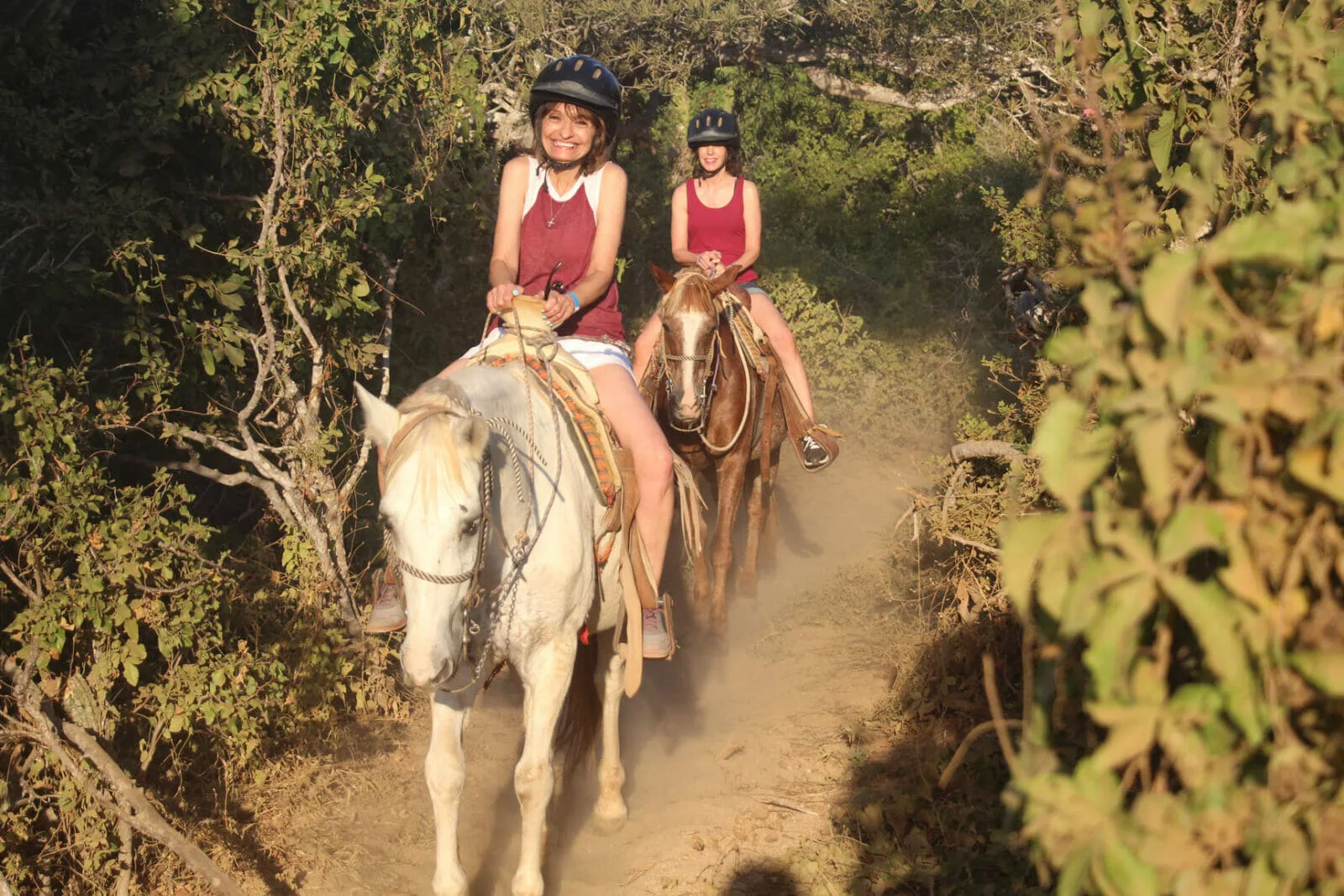 Horseback Riding On The Beach