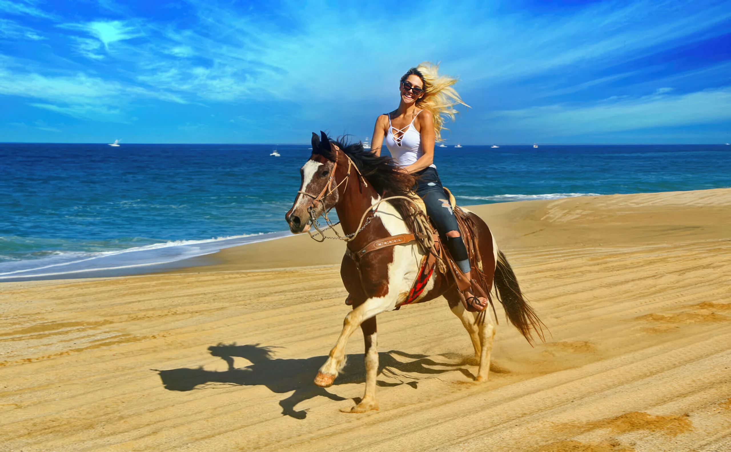 Horseback Riding On The Beach - Intermediate & Advanced