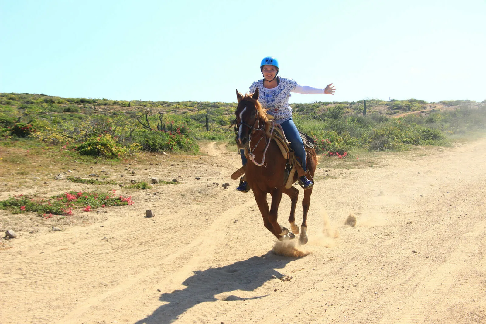Horseback Riding On The Beach - Intermediate & Advanced
