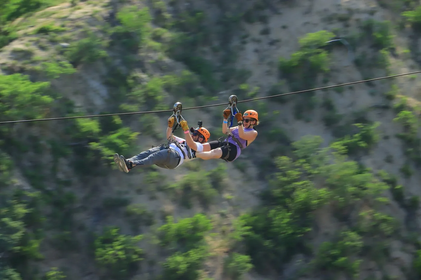Monster Ziplines