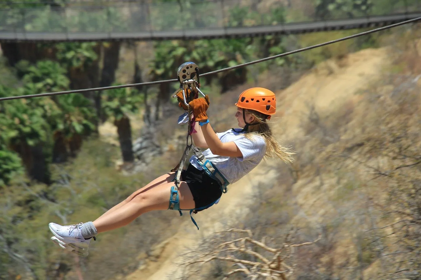 Monster Ziplines