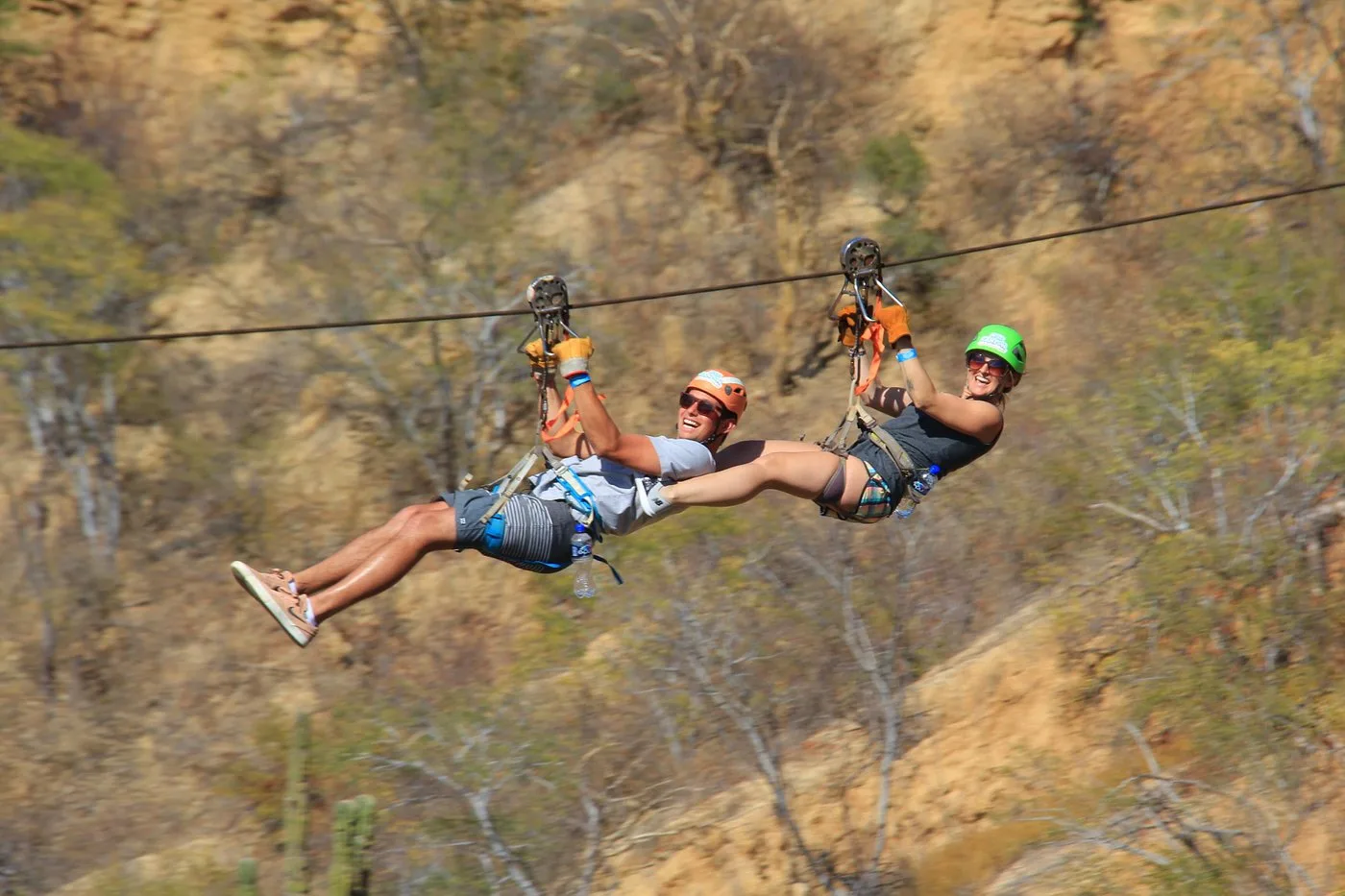 Monster Ziplines