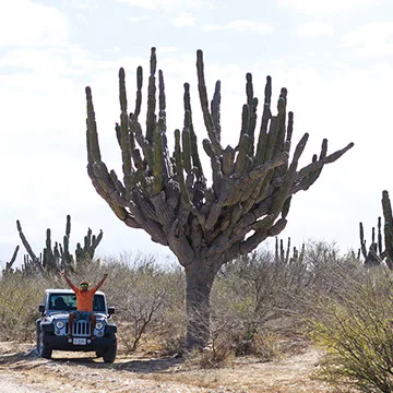 Private Jeep Tours - Jeep Tour to Santiago