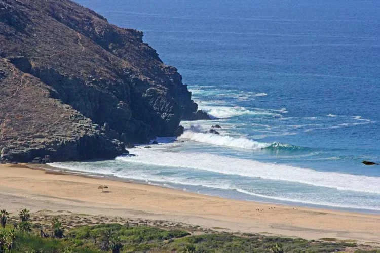 Private Jeep Tours - Jeep Tour to Todos Santos