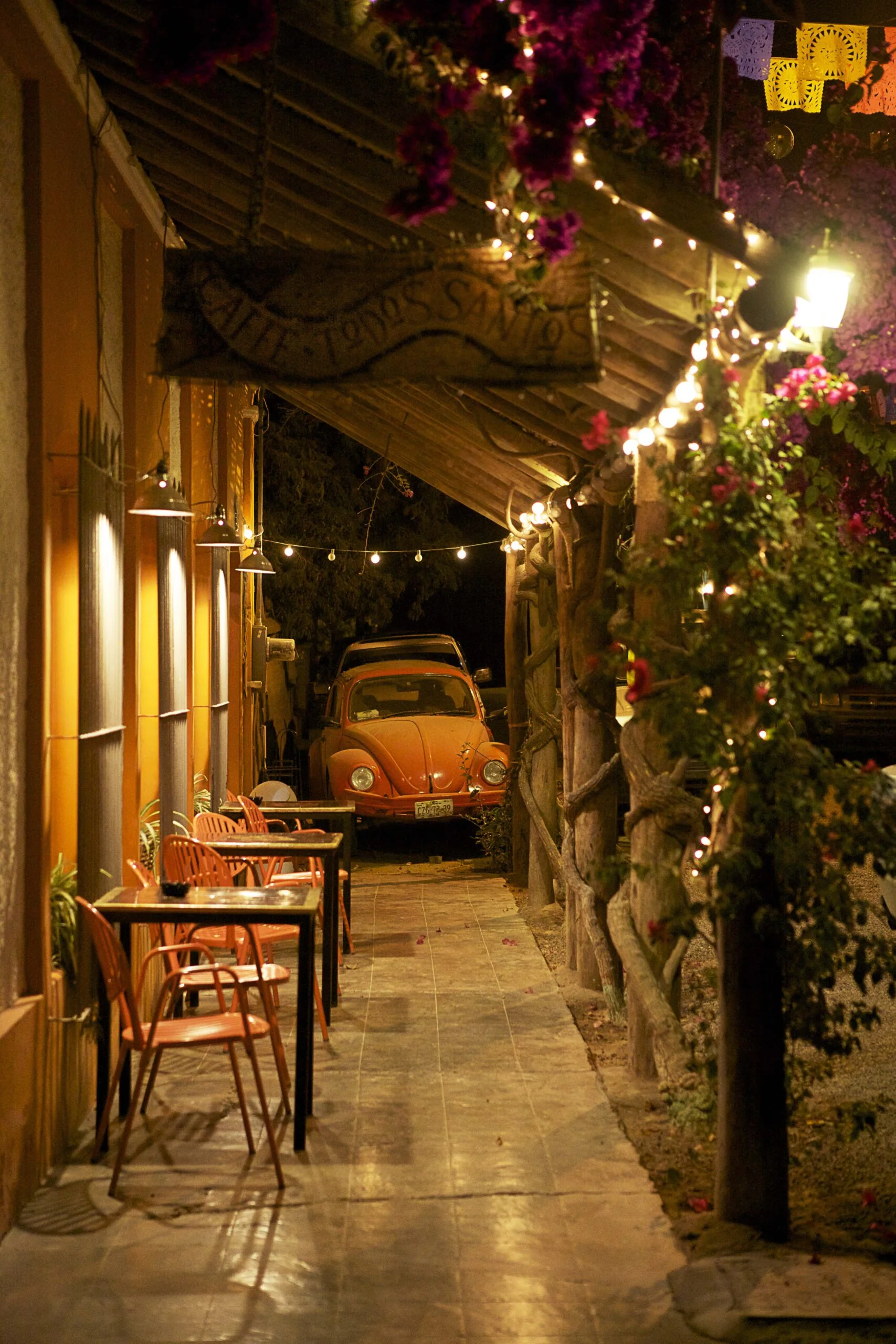 Private Jeep Tours - Jeep Tour to Todos Santos