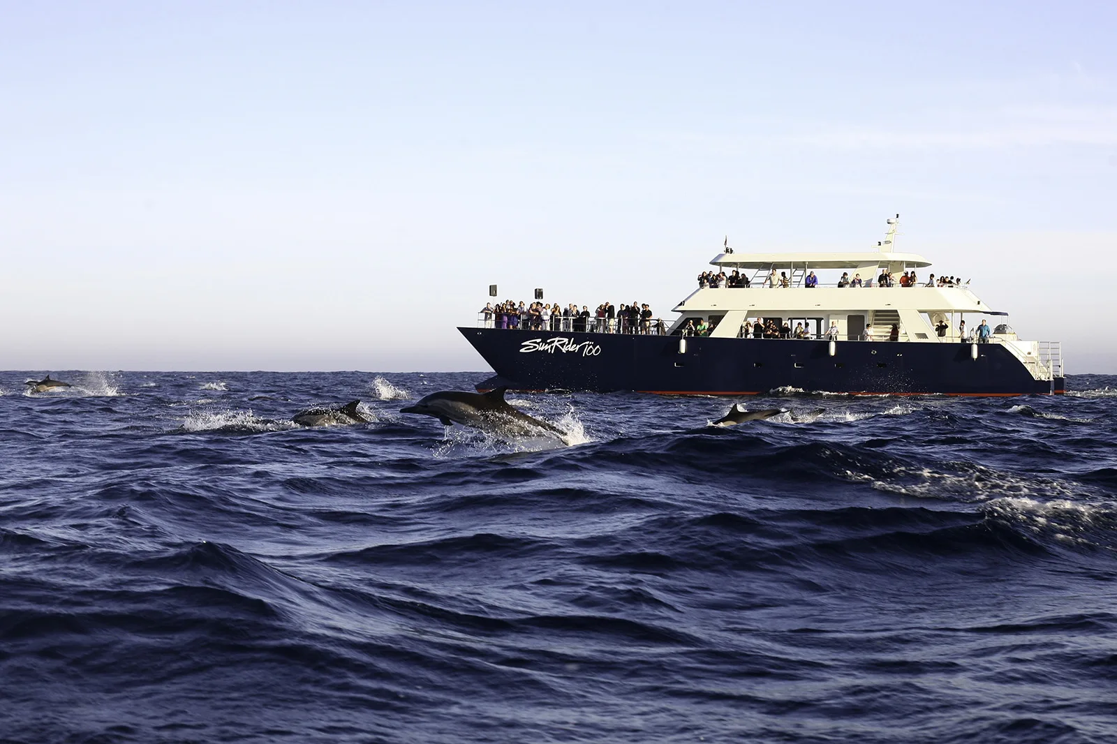 Sunset Dinner Cruise – Sun Rider