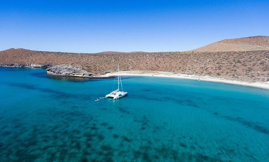 Whale Shark Swimming - All Inclusive