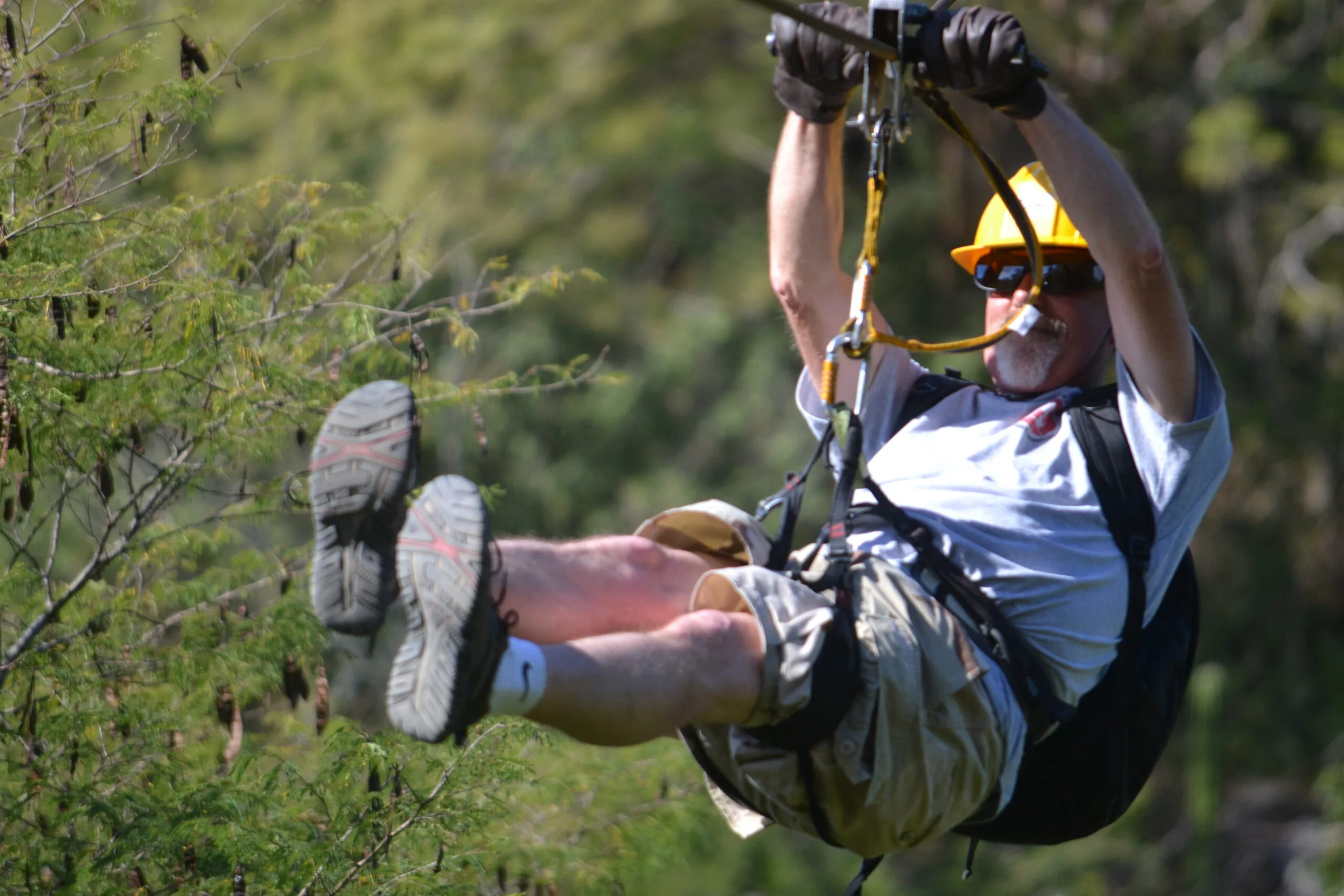 Zipline Adventure