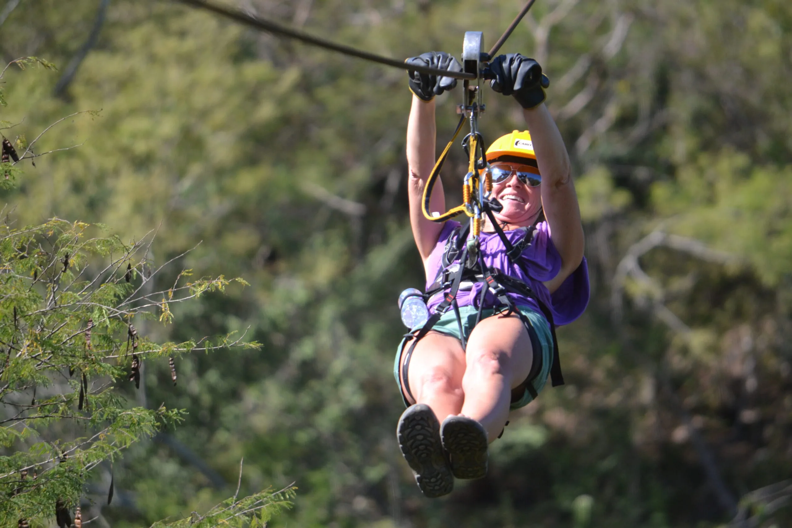 Zipline Adventure